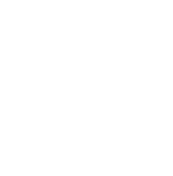 Basements and Secondary Dwellings Icon